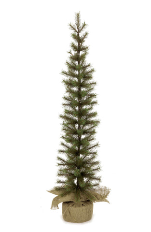 Needle Pencil Tree