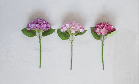 *HYDRANGEA STEMS, 3 COLORS