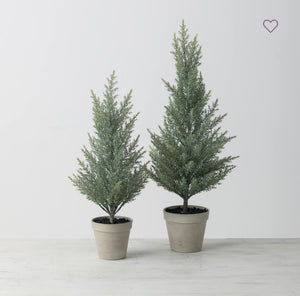 Pine Cedar Tabletop Tree 2 sizes