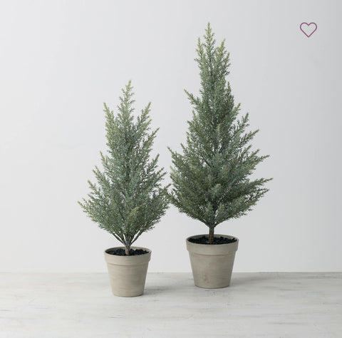 Pine Cedar Tabletop Tree 2 sizes