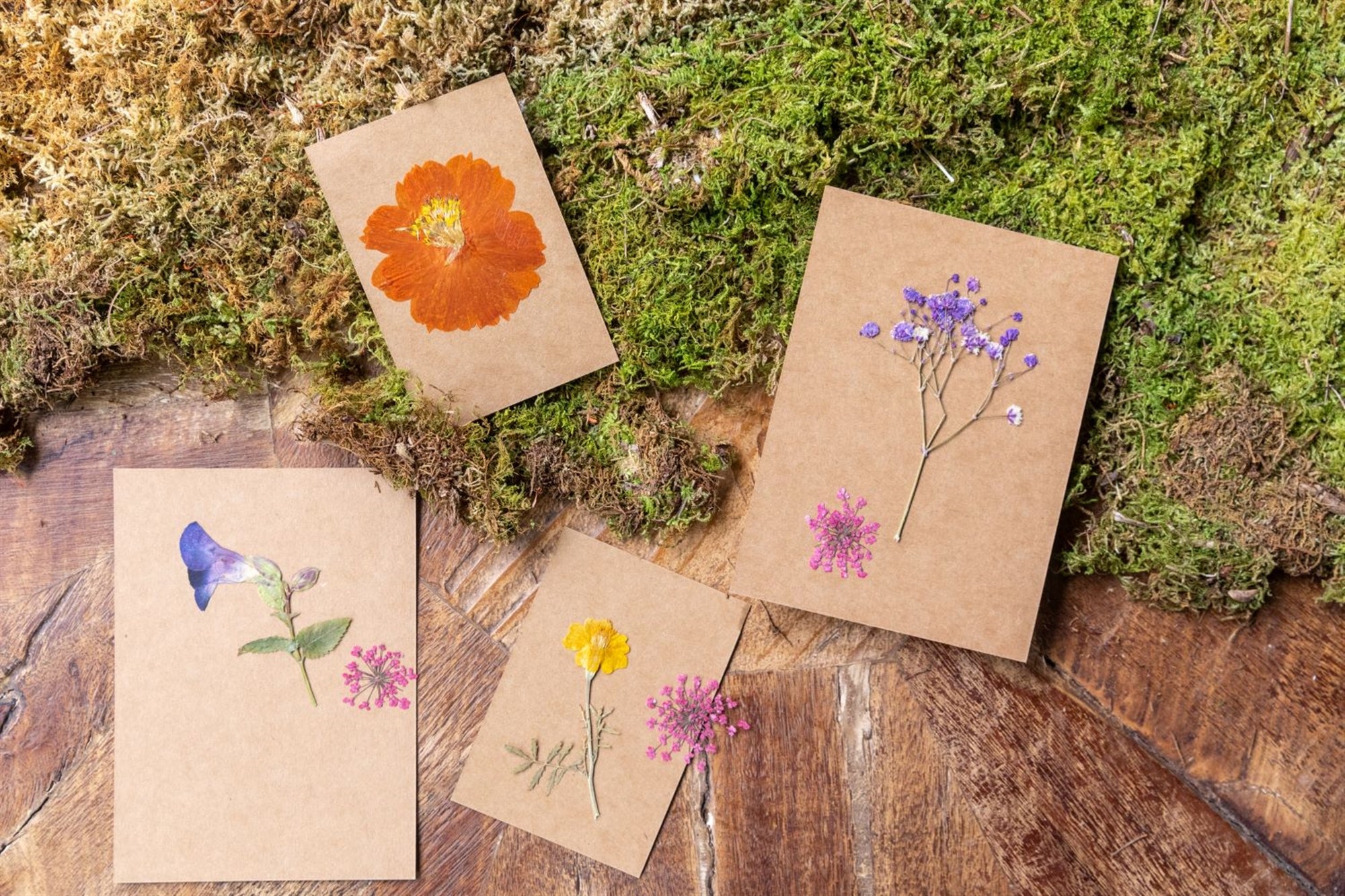 2nd Pressed Botanical