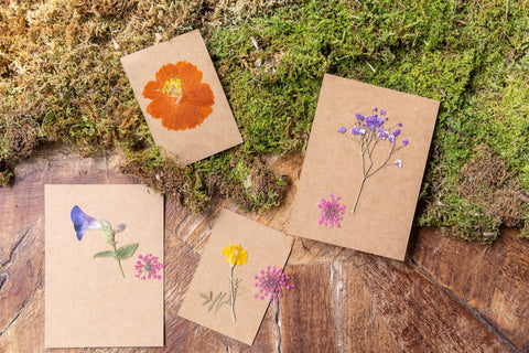 2nd Pressed Botanical