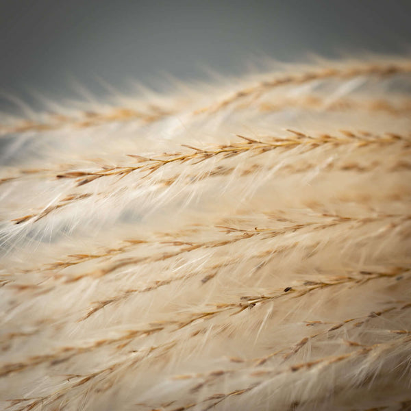 Wispy Reed Spray