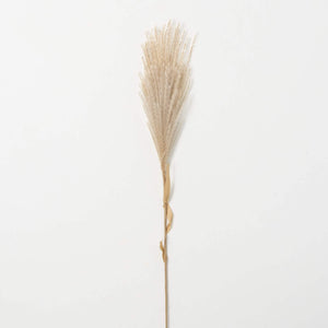 Wispy Reed Spray
