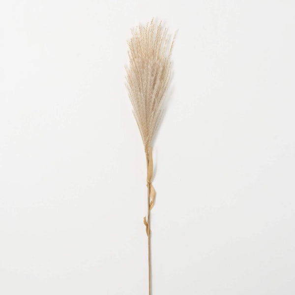Wispy Reed Spray