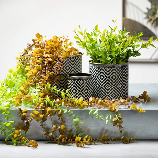 Black Metal Planter Set